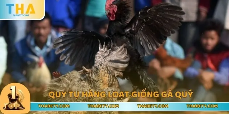 Xuất hiện các giống kê quý hiếm