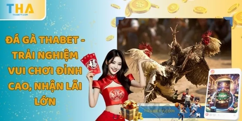 Đá Gà THABET - Trải Nghiệm Vui Chơi Đỉnh Cao, Nhận Lãi Lớn 1 Đá Gà THABET - Trải Nghiệm Vui Chơi Đỉnh Cao, Nhận Lãi Lớn