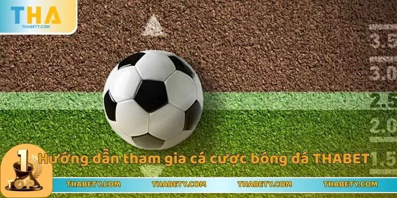 Hướng dẫn tham gia cá cược bóng đá THABET
