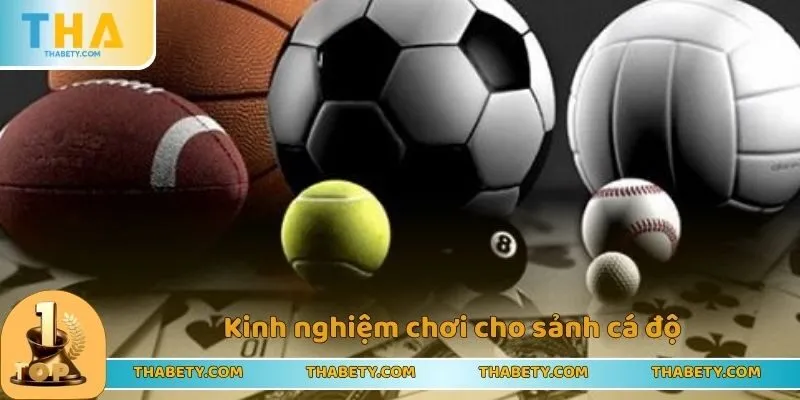 Kinh nghiệm chơi cho sảnh cá độ