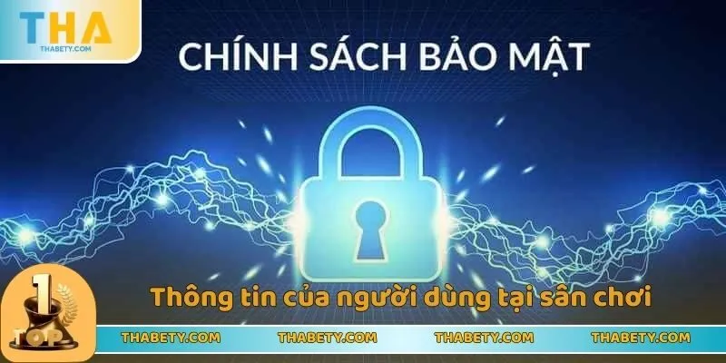 Thông tin của người dùng được thu thập tại sân chơi 